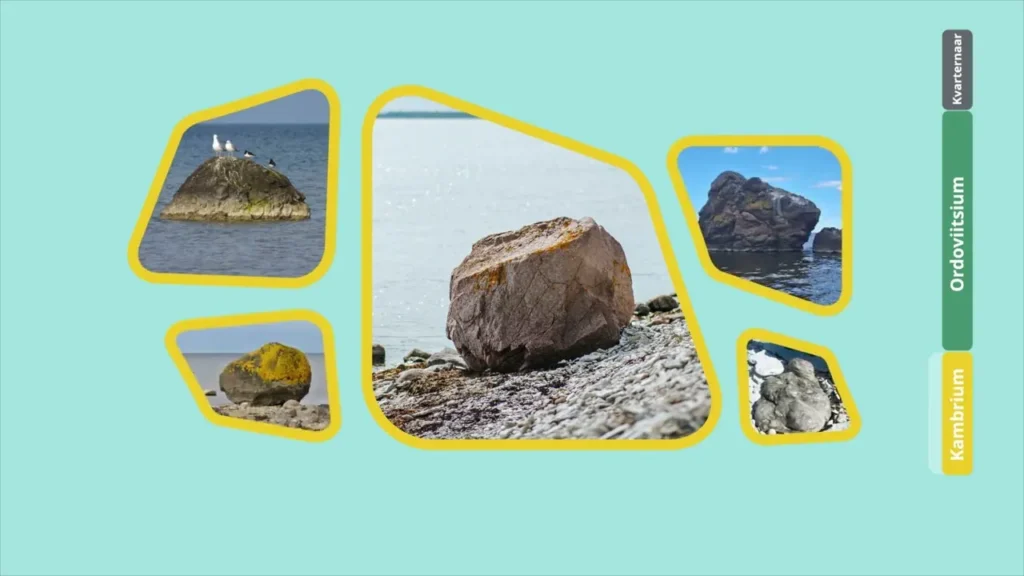 Eesti settekivimite kujunemine